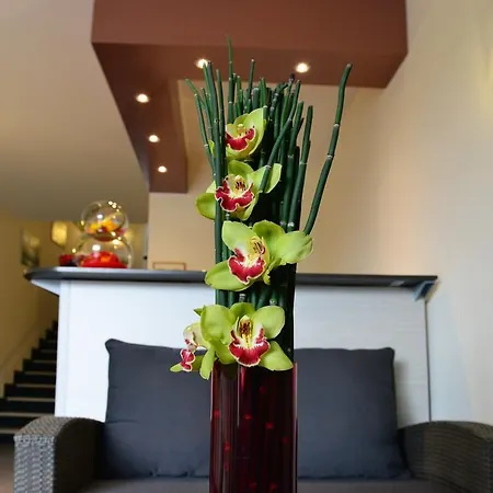 Le Logge Nocleg ze śniadaniem Ventimiglia